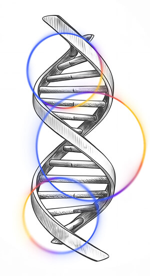 dna-frame-new-new