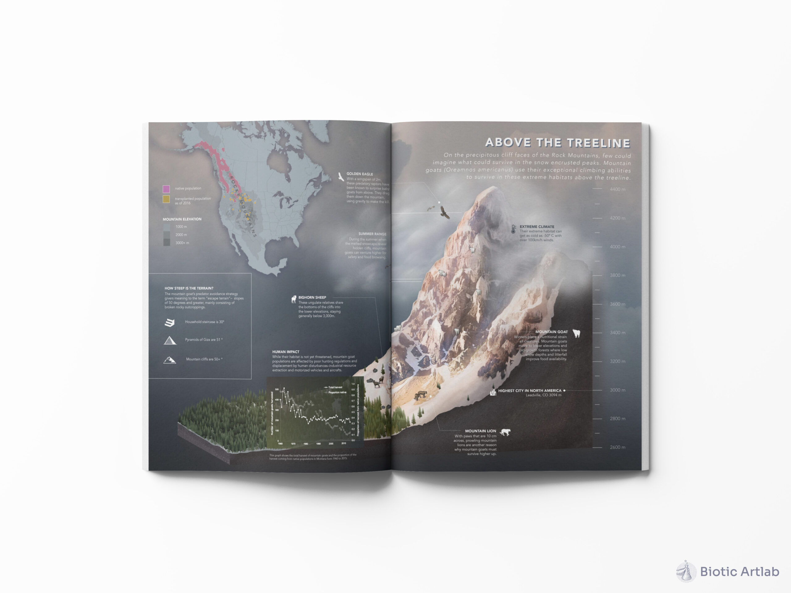 Medical illustration book spread layout – page 2