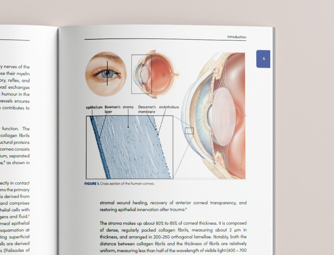Endothelial keratoplasty PhD book cover design with medical illustrations