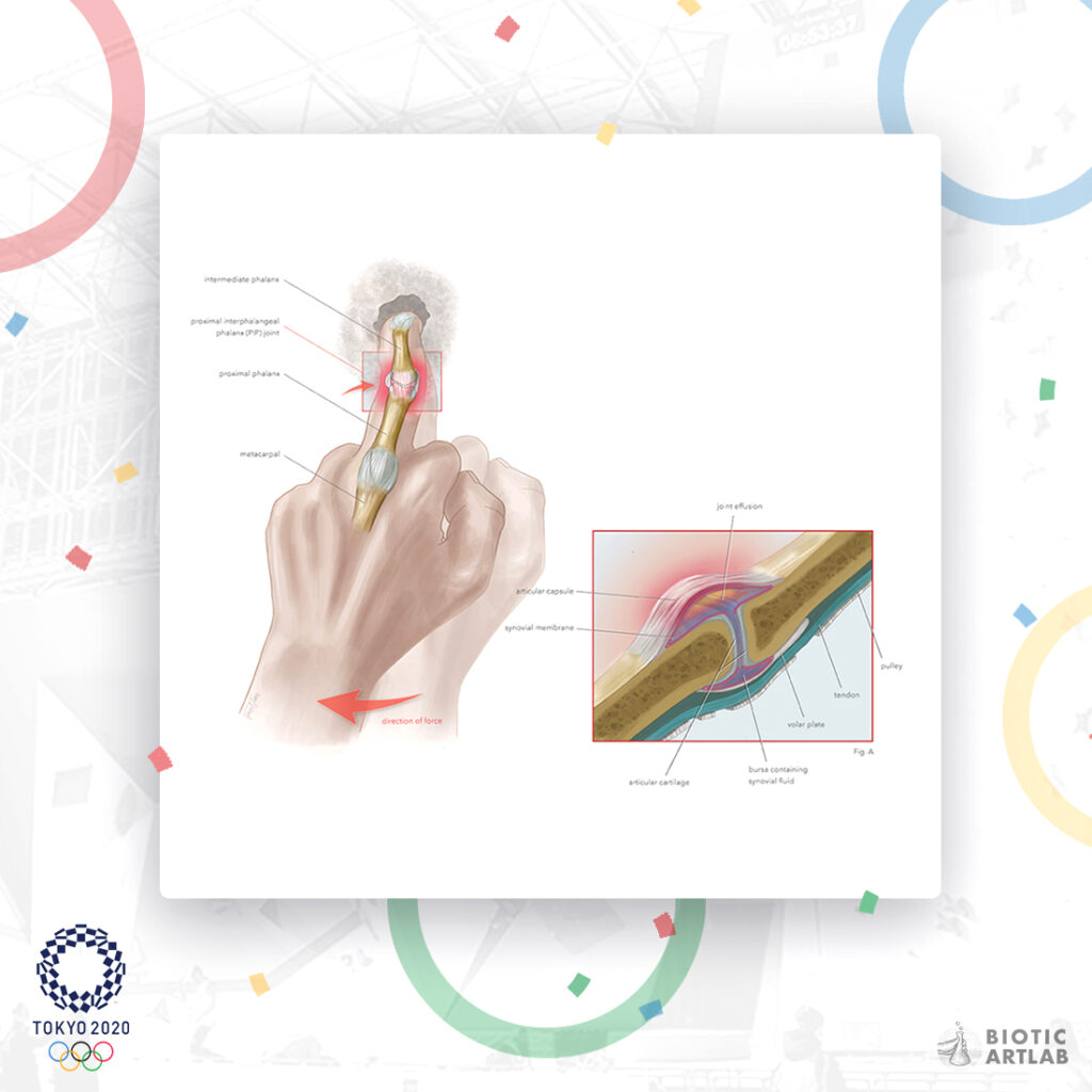 Tokyo 2020 Olympics sport climbing anatomy illustration – panel A